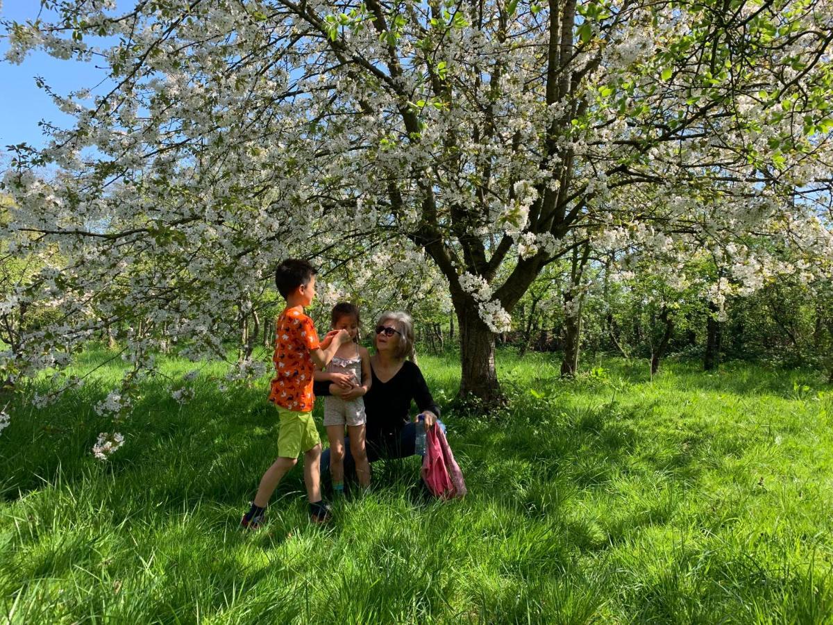 Oostvoornsch Gastenverblijf Oostvoorne Dış mekan fotoğraf