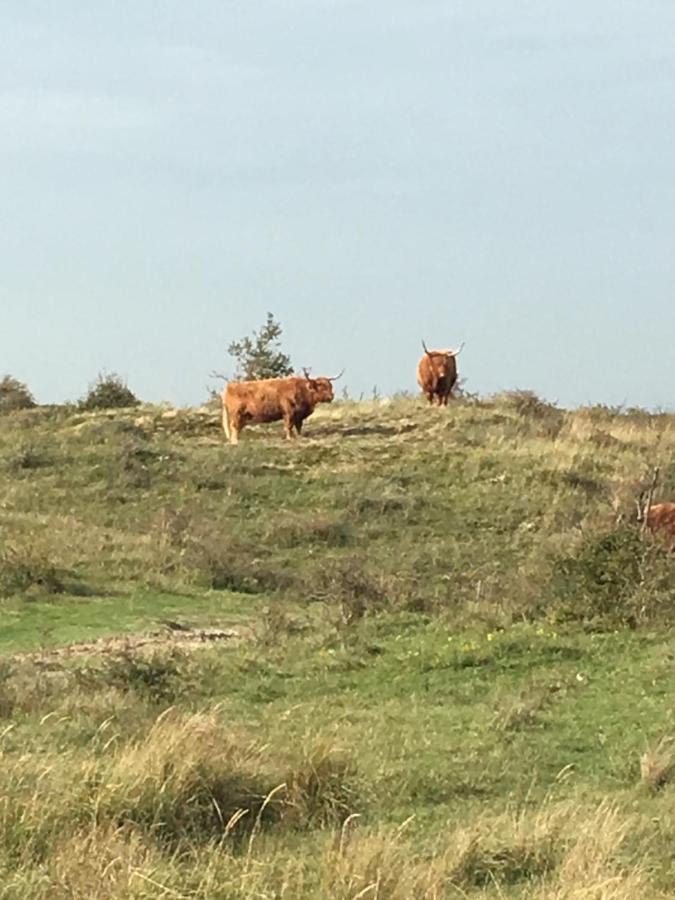 Oostvoornsch Gastenverblijf Oostvoorne Dış mekan fotoğraf
