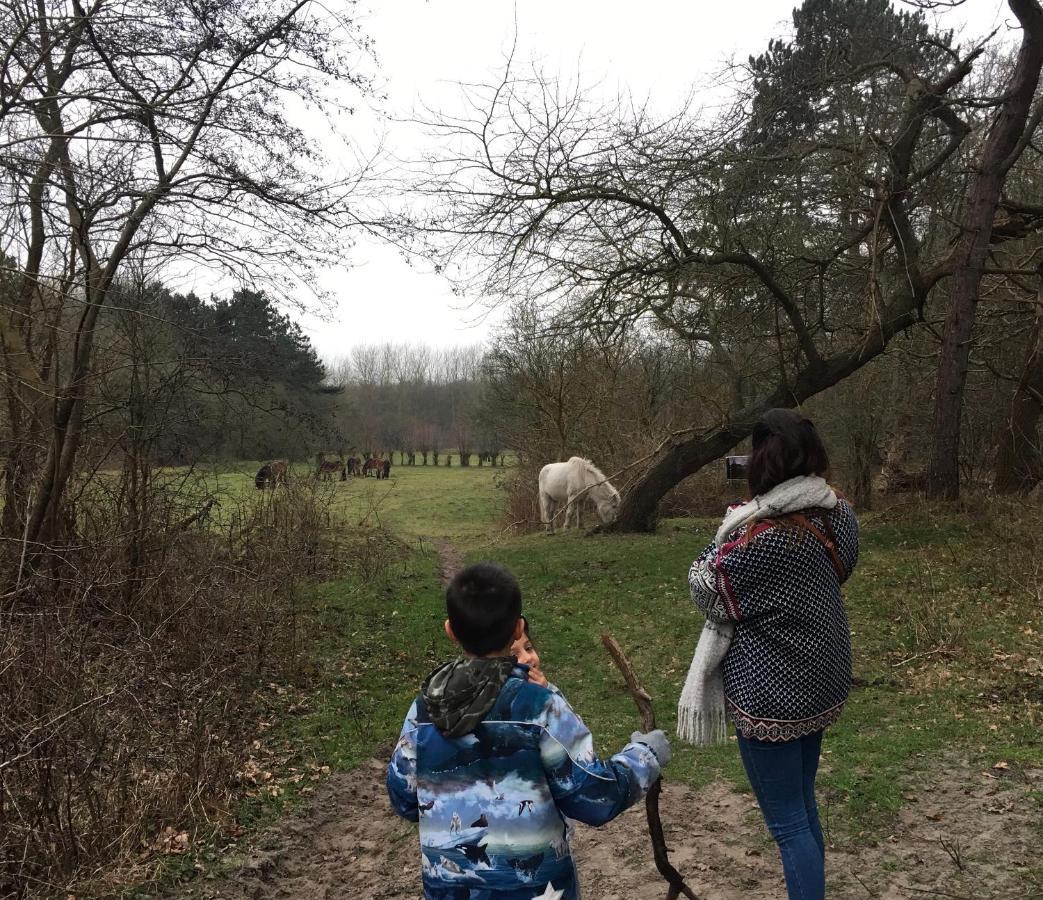 Oostvoornsch Gastenverblijf Oostvoorne Dış mekan fotoğraf