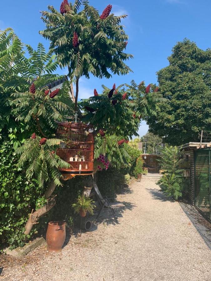 Oostvoornsch Gastenverblijf Oostvoorne Dış mekan fotoğraf